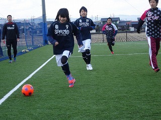 DSC00173.jpg