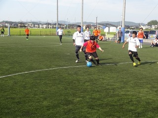DSC07340.jpg