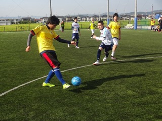DSC07344.jpg