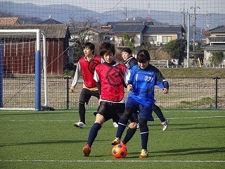 DSC07784.jpg