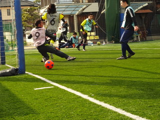 DSC08225.JPG