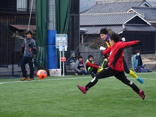 DSC00254.jpg