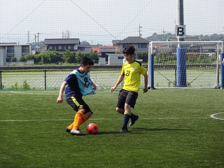 DSC00862.jpg