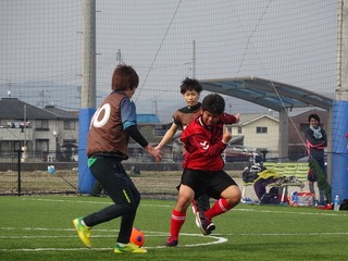 DSC01243.jpg