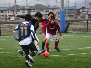 DSC01261.jpg