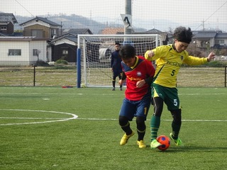 DSC01337.jpg
