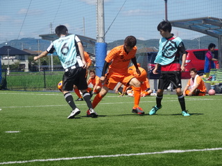 DSC01537.JPG
