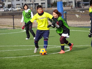 DSC02772.jpg