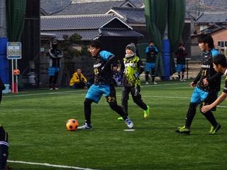 DSC02788.jpg