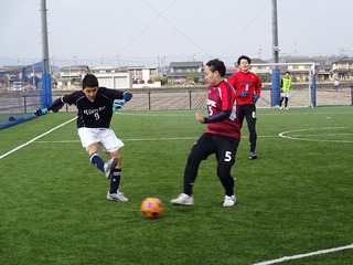 DSC03537.jpg