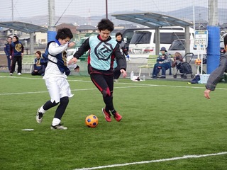 DSC03545.jpg