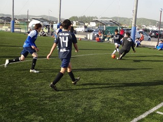 DSC04986.jpg