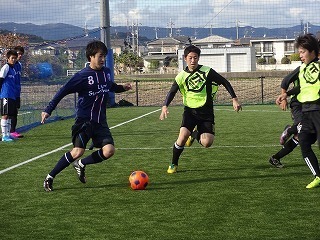 DSC07329.jpg