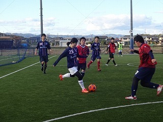 DSC07335.jpg