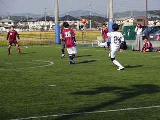 DSC07669.jpg