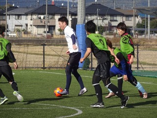 DSC07953.jpg