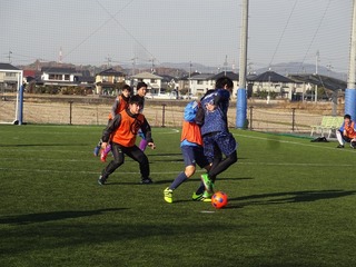 DSC08302.jpg