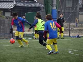 DSC08980.jpg