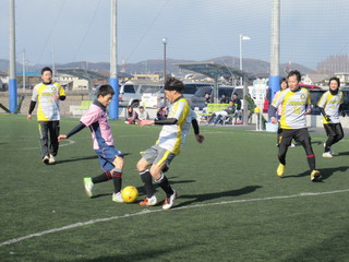 IMG_2537.jpg