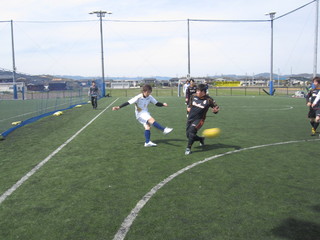 IMG_3703.jpg